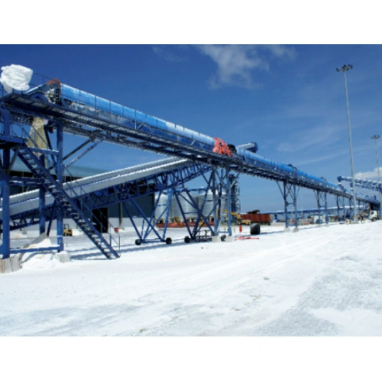 Wire Mesh Belt Conveyor