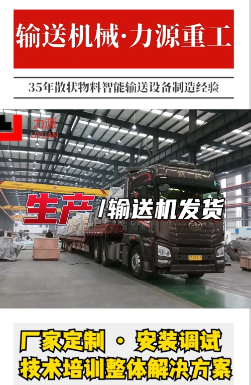 The video of delivery